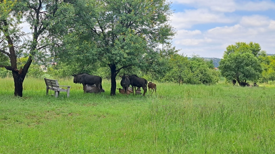 Commercial Property for Sale in La Camargue Private Country Estate North West